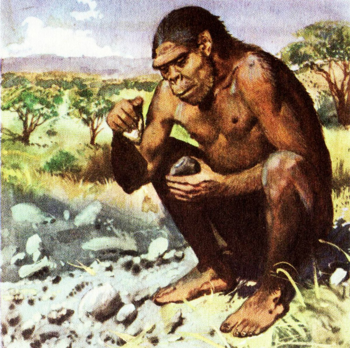 Человек умелый homo habilis