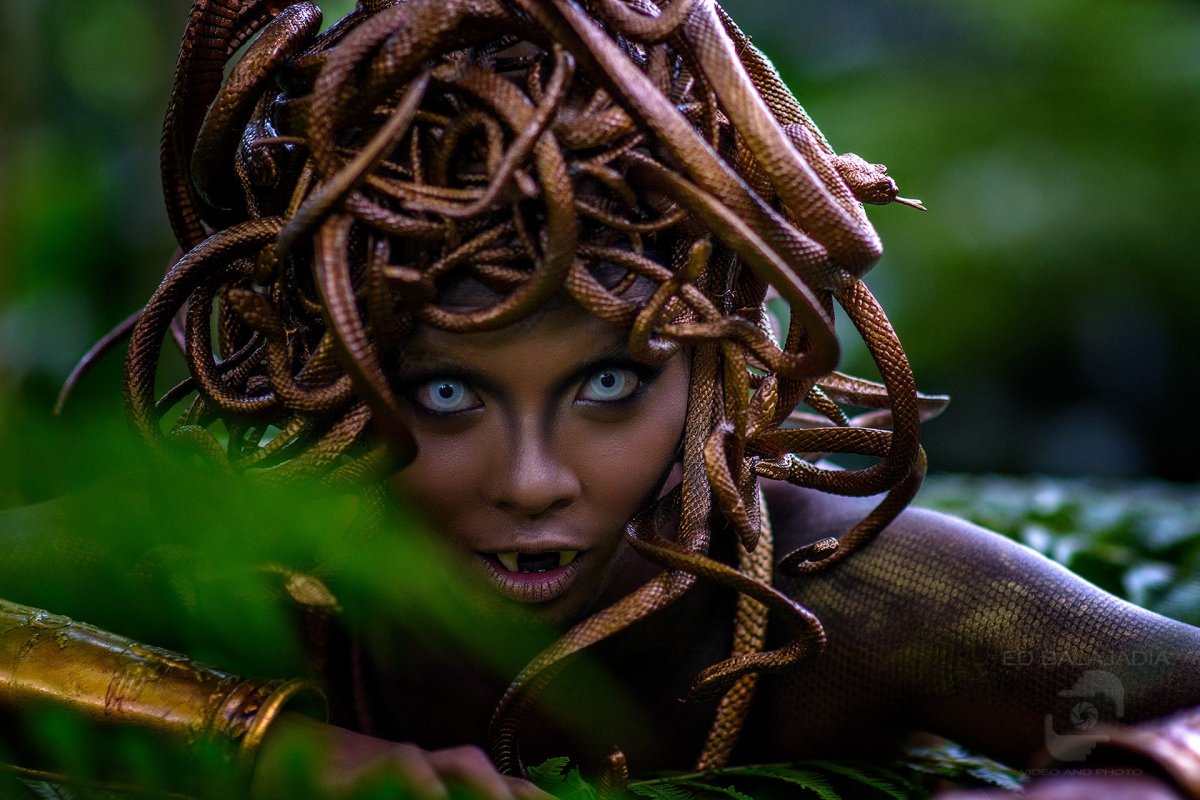 Эвриала Горгона