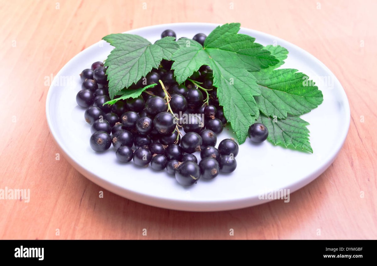 Смородина ягода