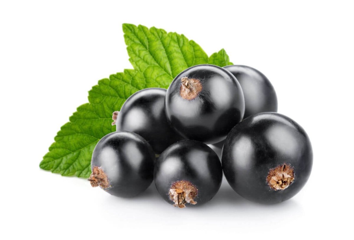 Кухница "черная смородина".