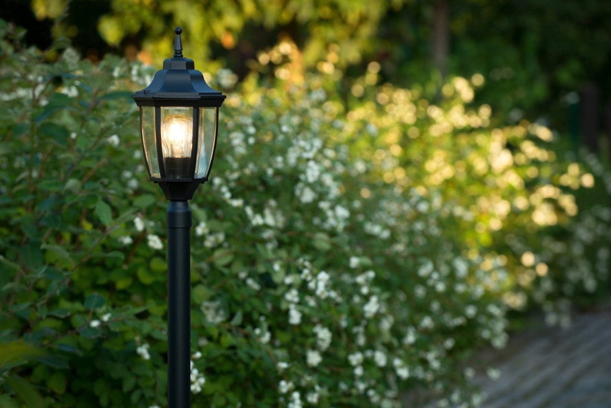 Акварельные иллюстрации