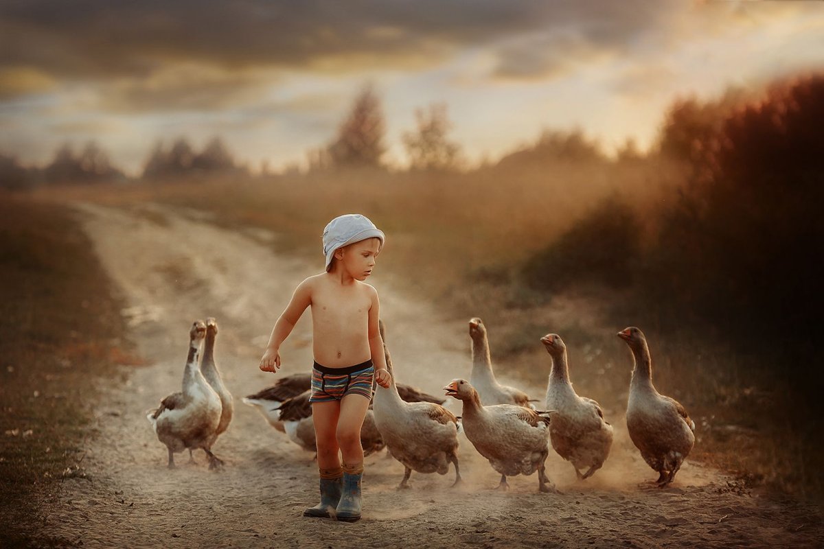 Гуси и мальчик