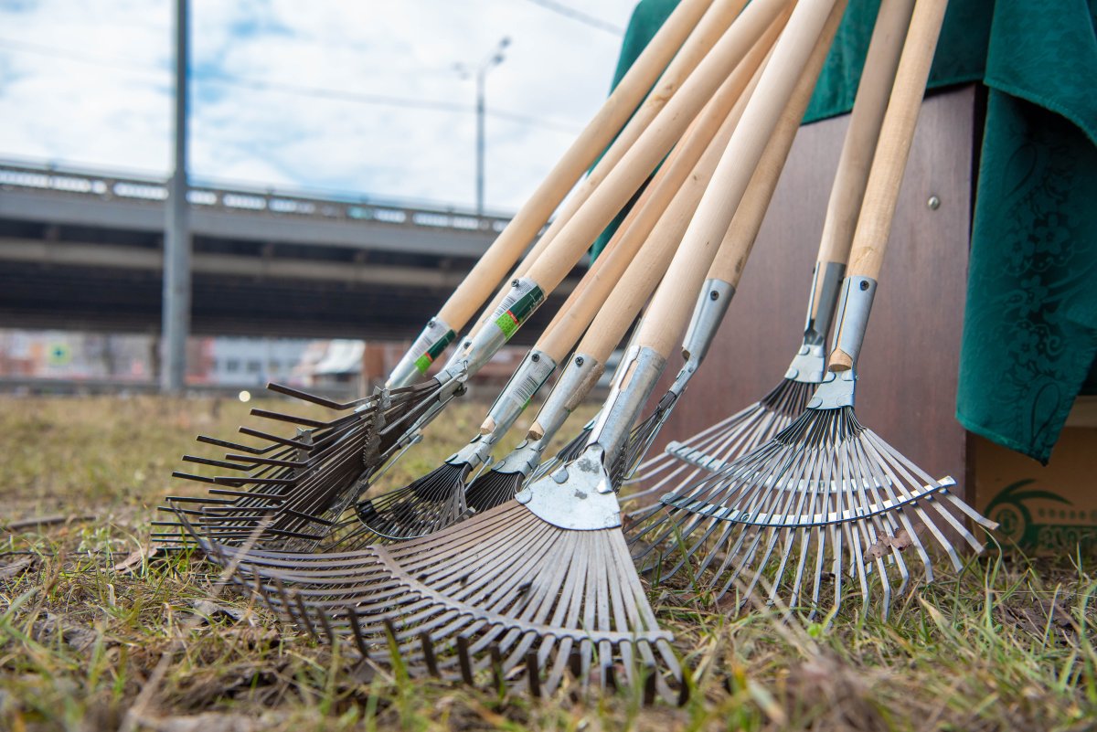 Женщина на метле стихи