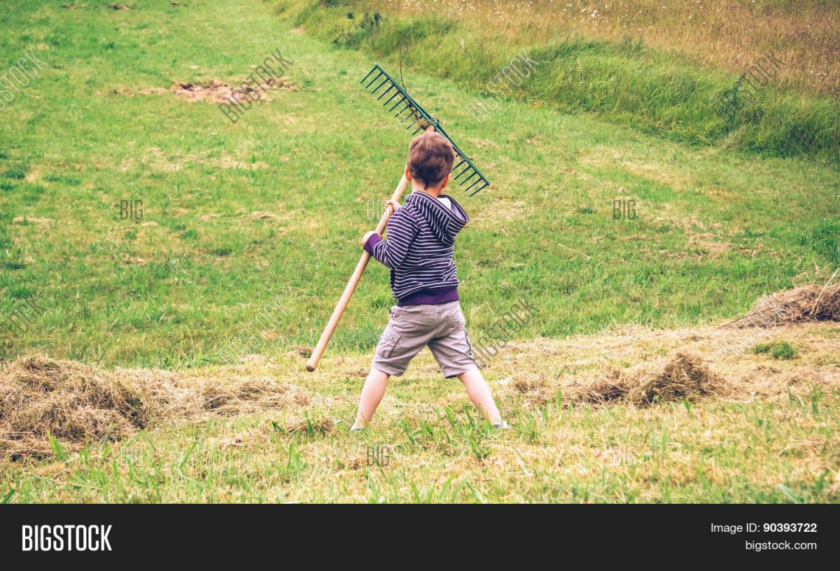 Эскиз граблей