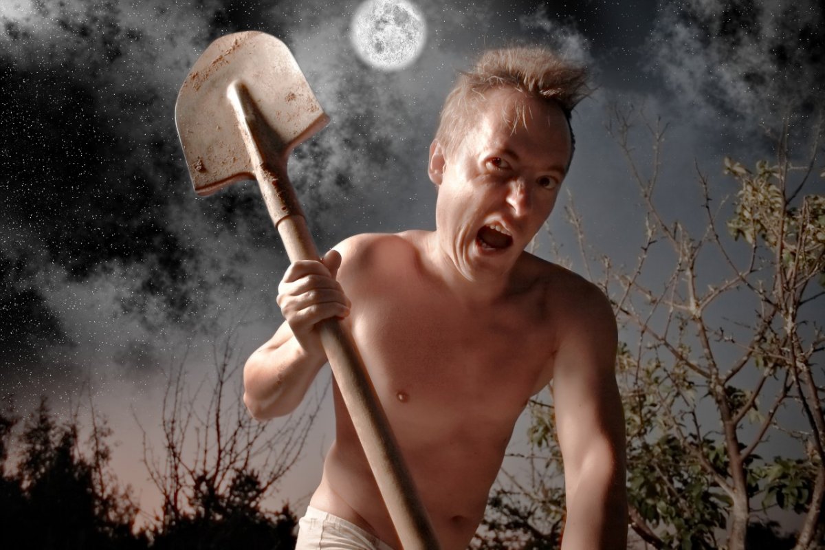 Лопаты вилы грабли