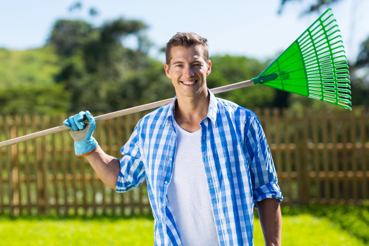 Лопаты грабли пилы