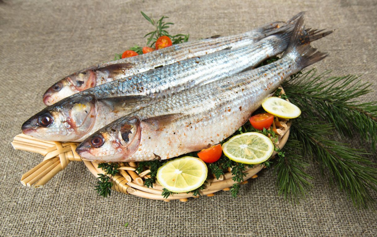 Кефаль Черноморская