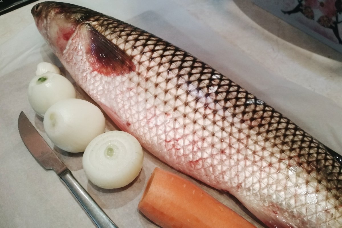 Кефаль остронос