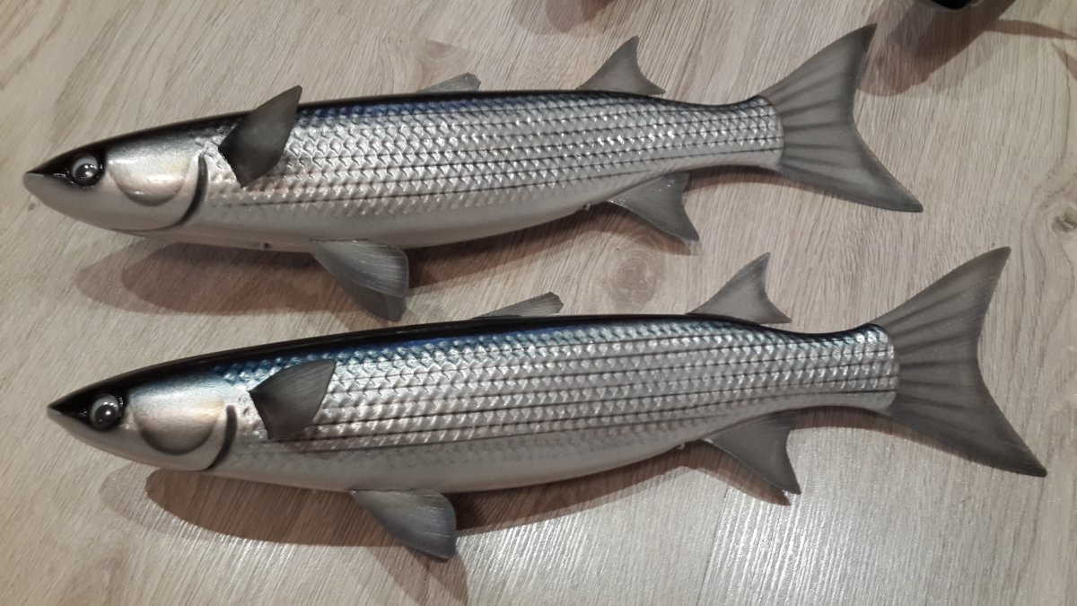 Черноморский Лобан рыба