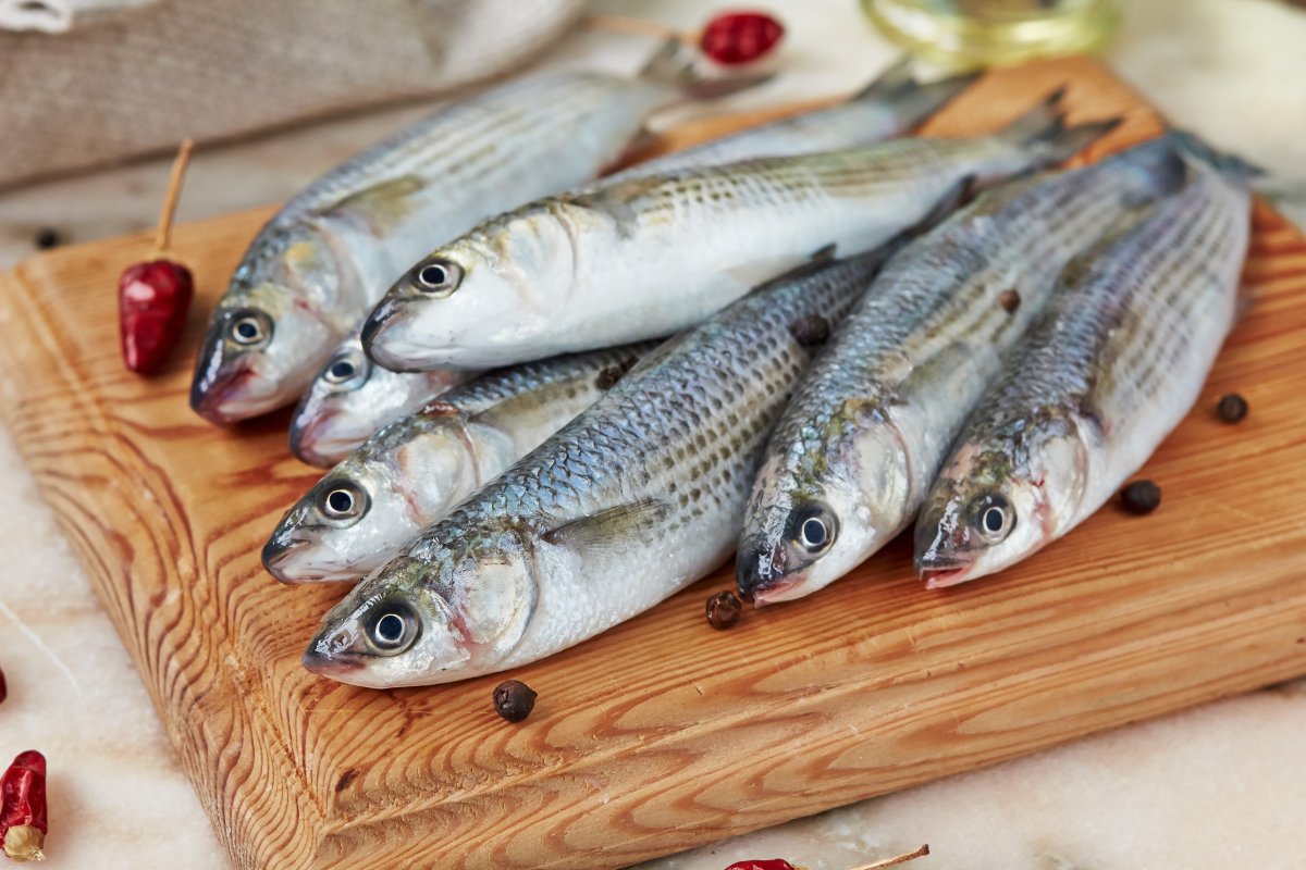 Дальневосточная кефаль - пеленгас