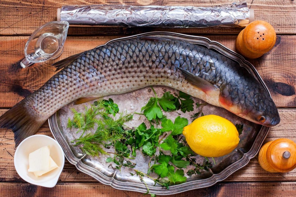 Кефаль рыба чешуя