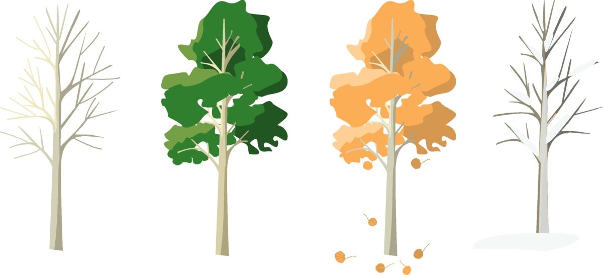 Дерево осина для 3d