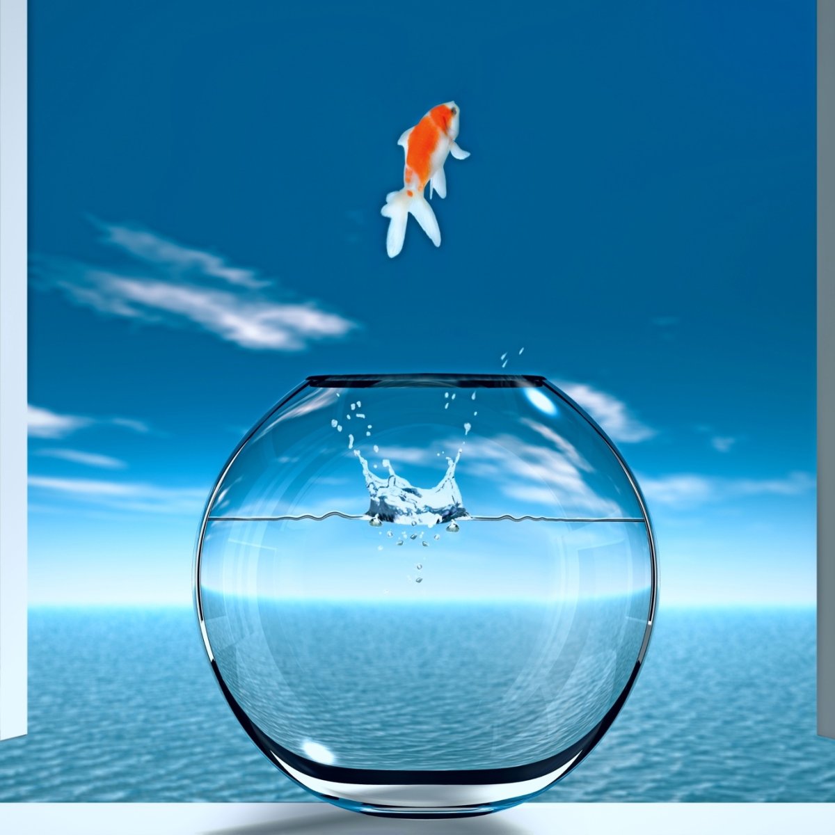 Фотография меняет образ-символ