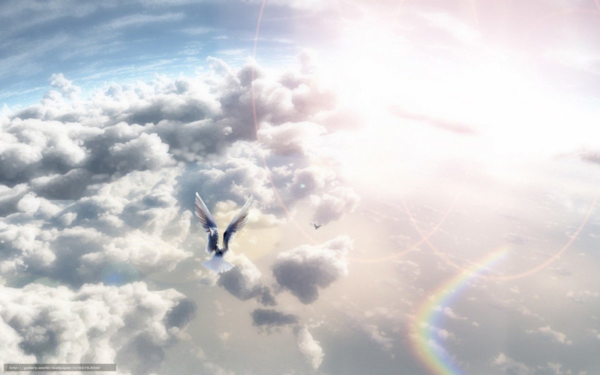 Полет в небесах