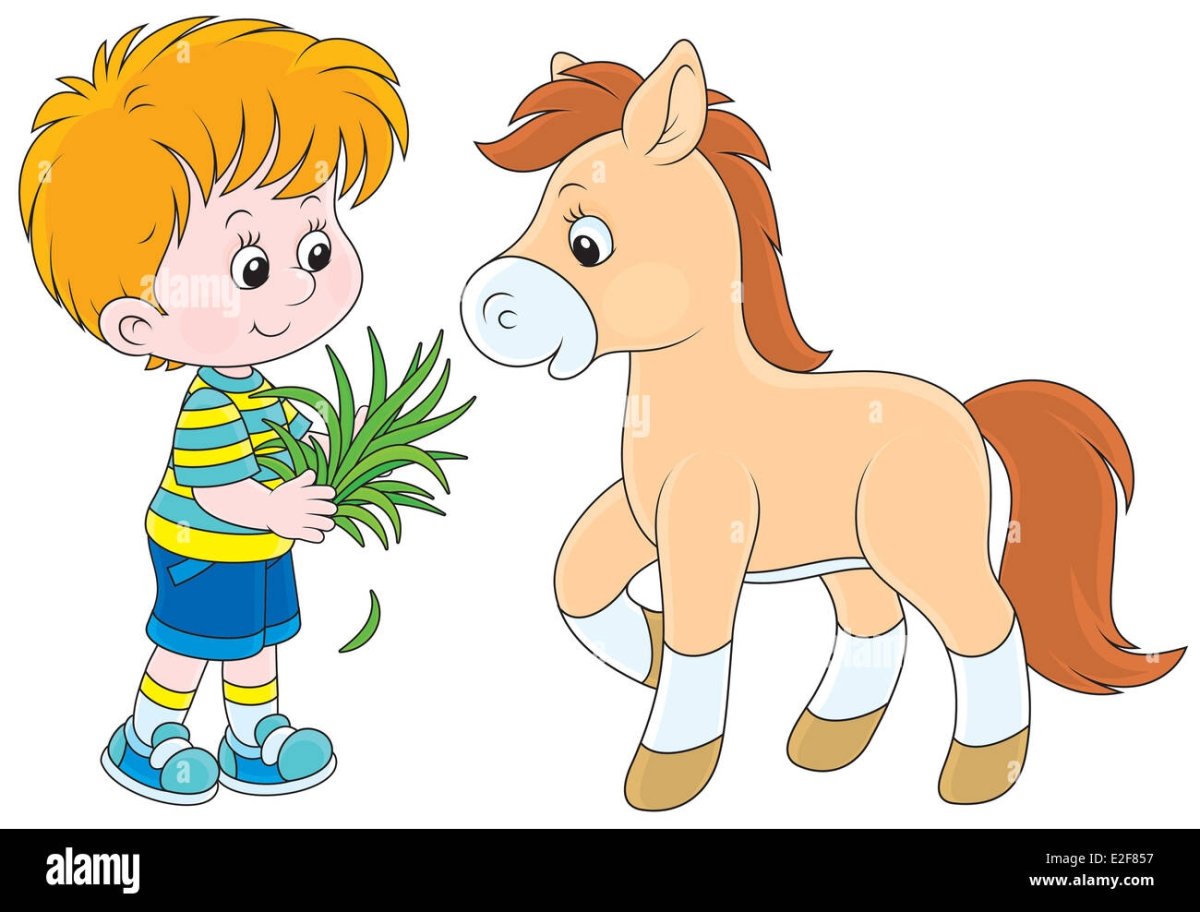 Мальчик и жеребенок
