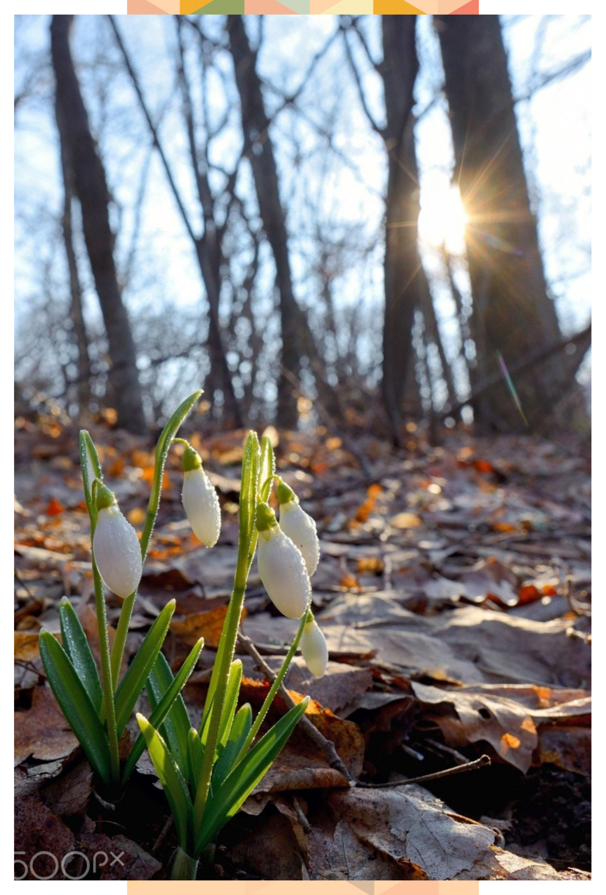 Ранняя Весна
