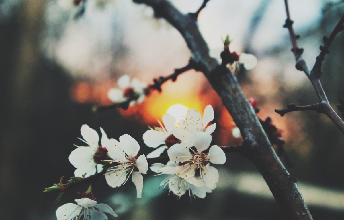 Весна Эстетика