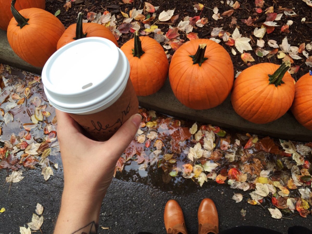 Осенняя Эстетика тыквы