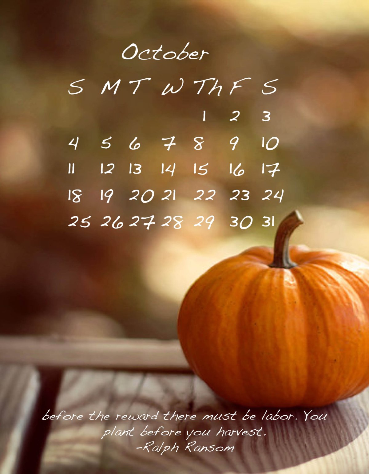 Тыква фото референс