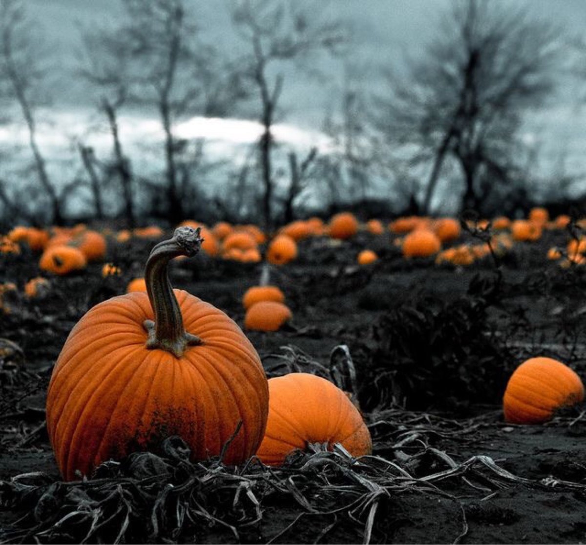 Helloween Эстетика