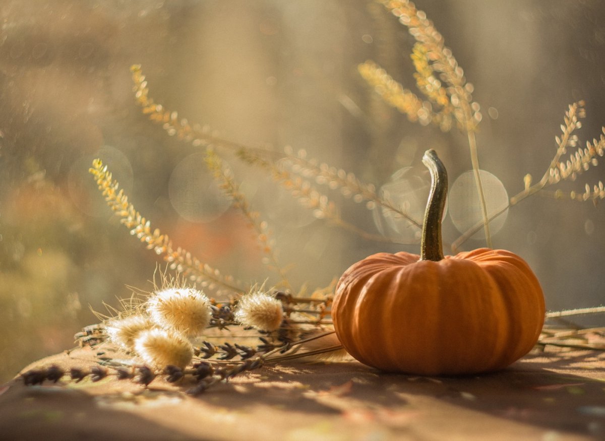 Осенний натюрморт в теплых тонах