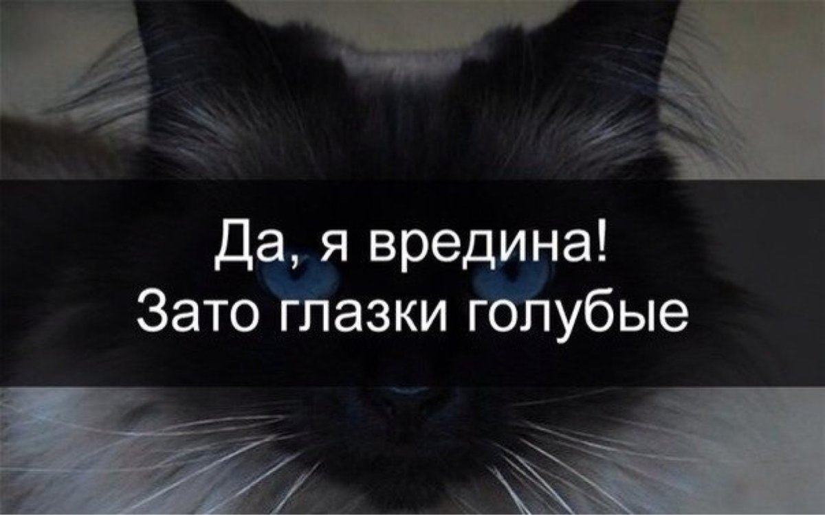 Любимому вредине