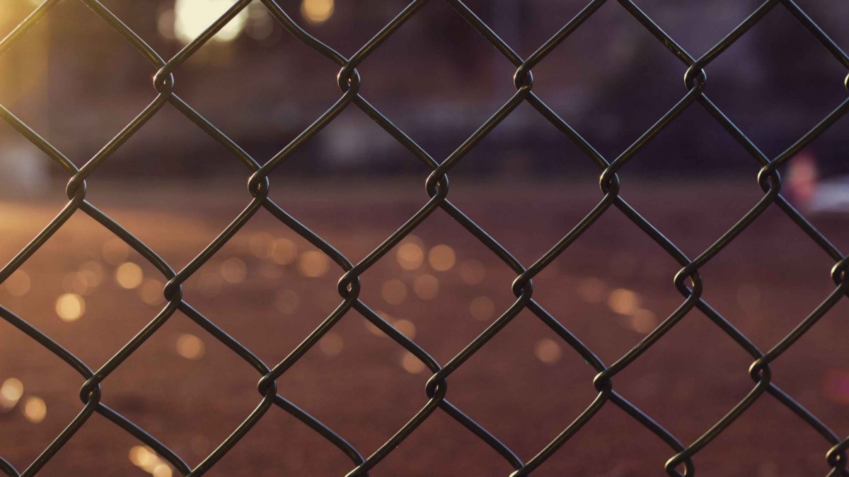 Сетка рабица текстура