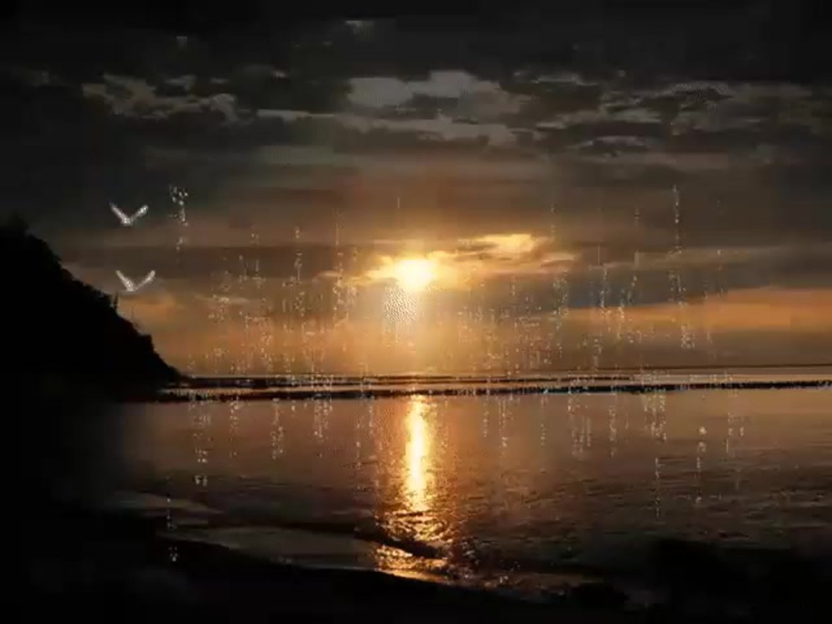 Приятного летнего вечера