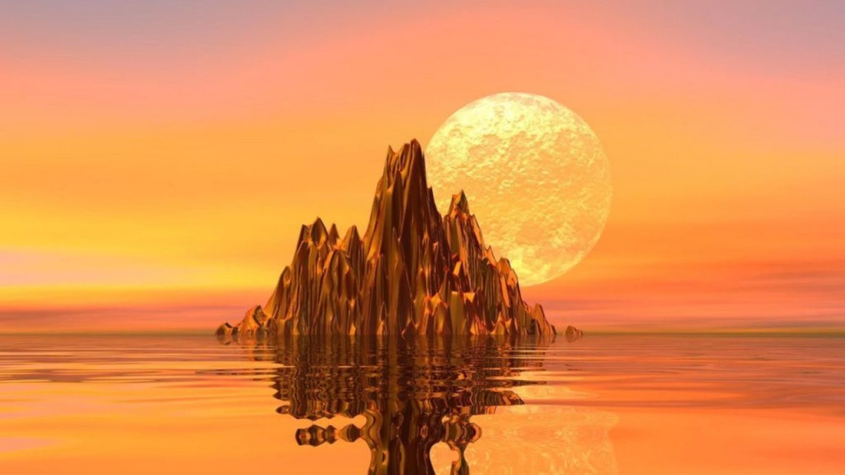 Цветы и море