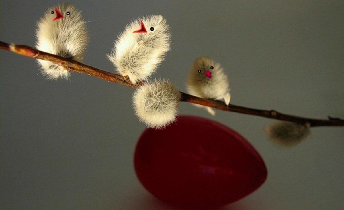 С Вербным воскресеньем открытки прикольные