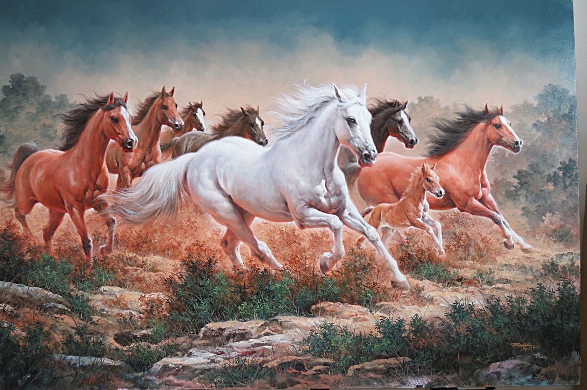 Лошадь круглая картинка