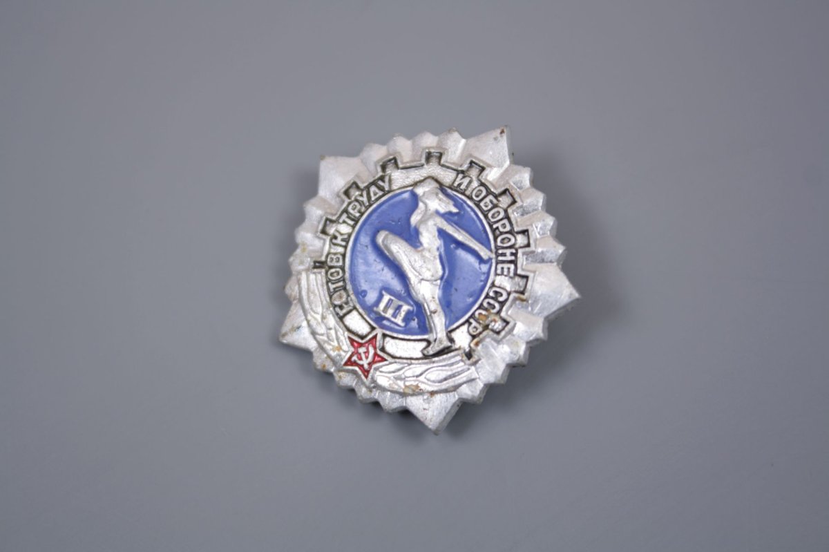 Значок ГТО школьнику