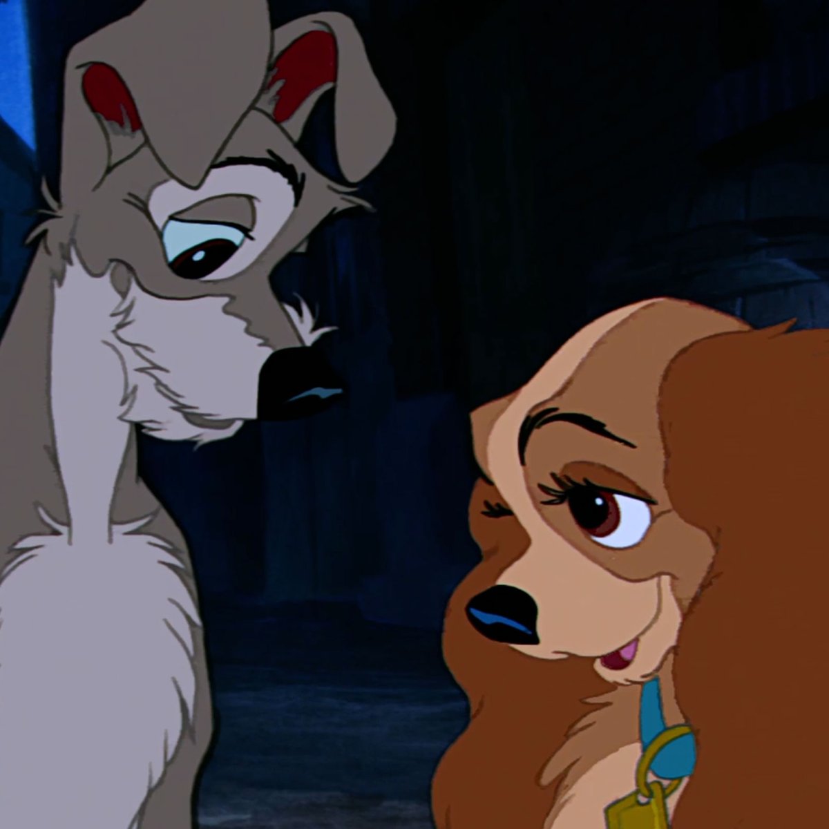 Мультик леди и Бродяга