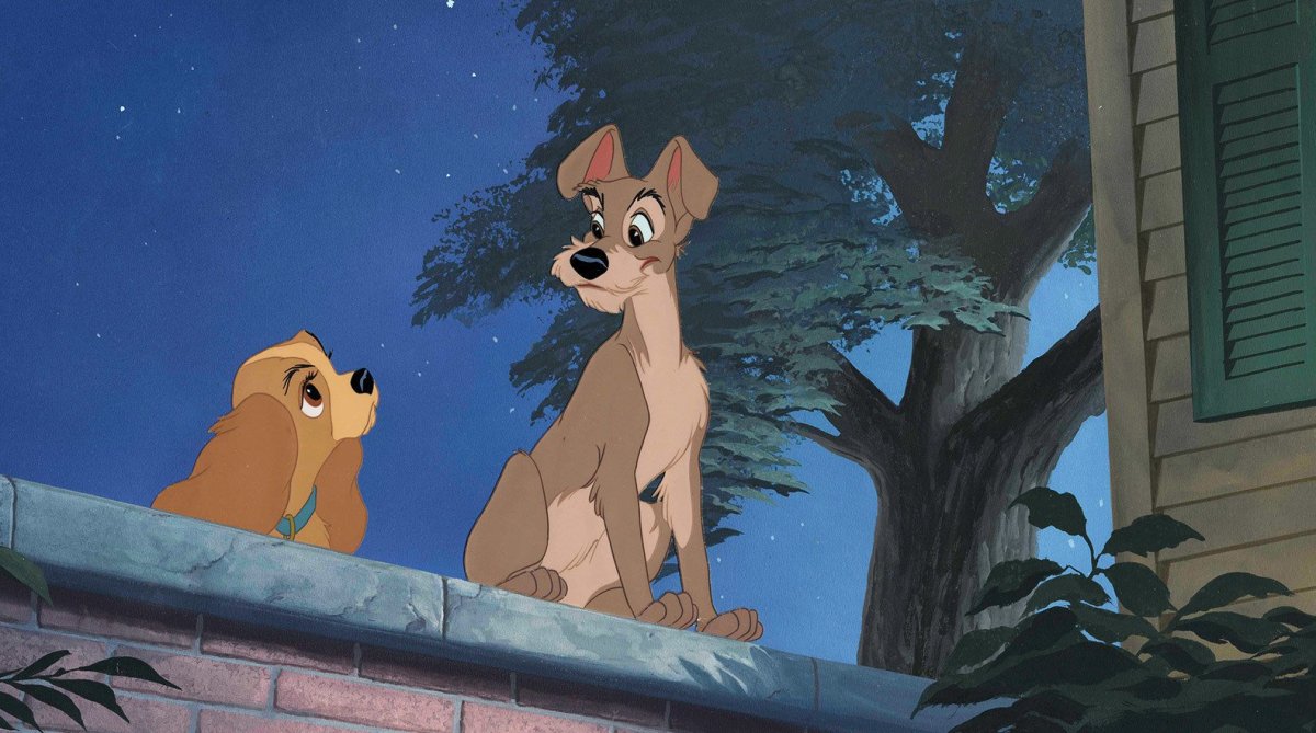 Леди и Бродяга мультфильм 1955