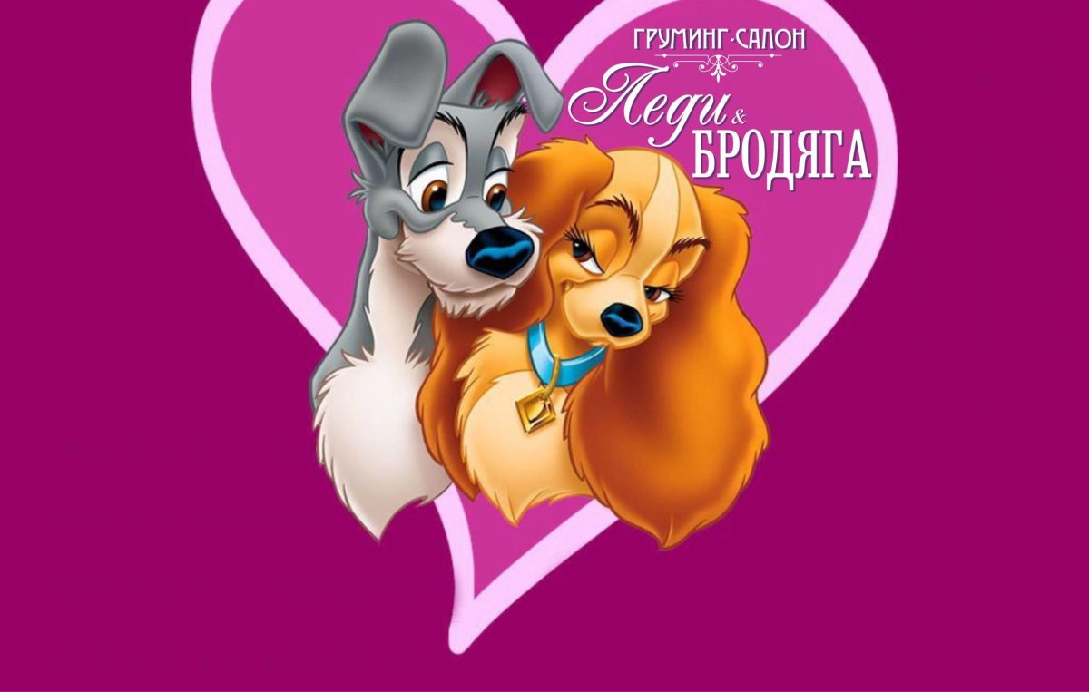 Леди и Бродяга 1955