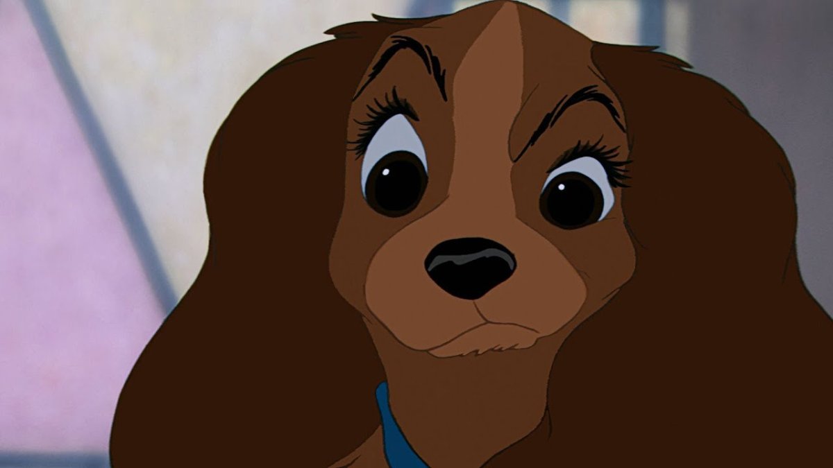 Леди и Бродяга 2 шалун