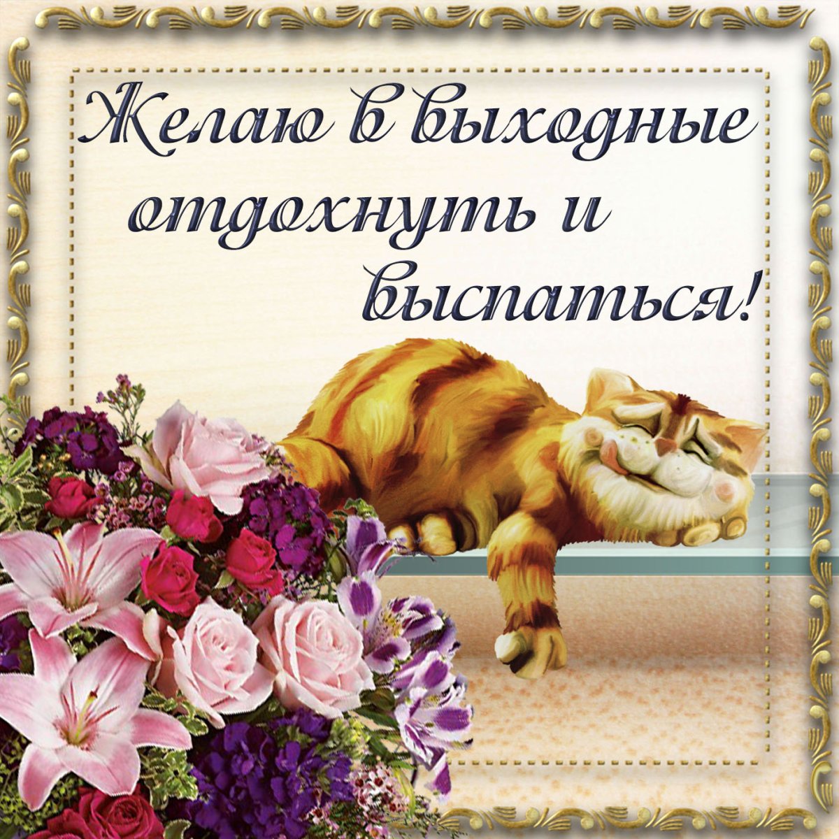 Спокойной ночи гиф