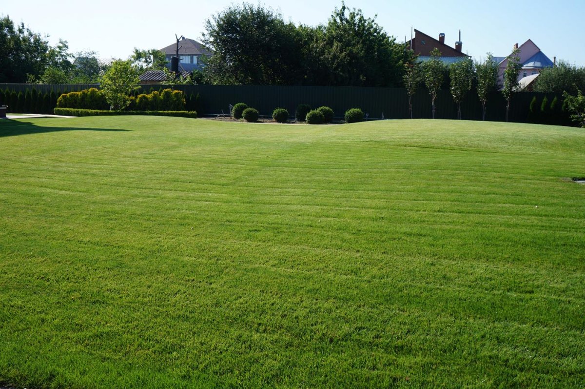 Лужайка с забором