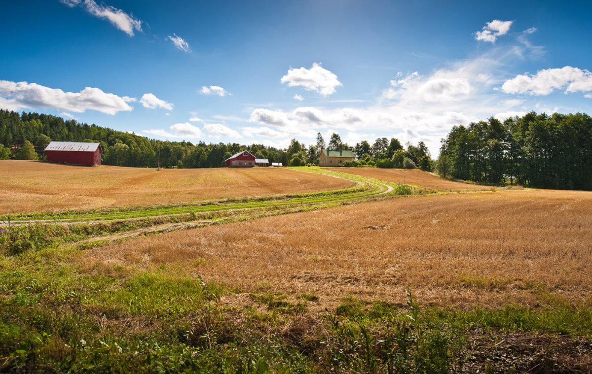Перераспределение земельных участков
