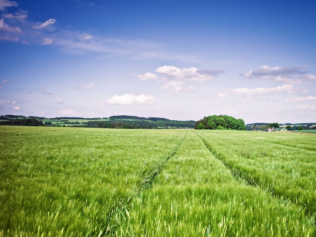 Загородный дом