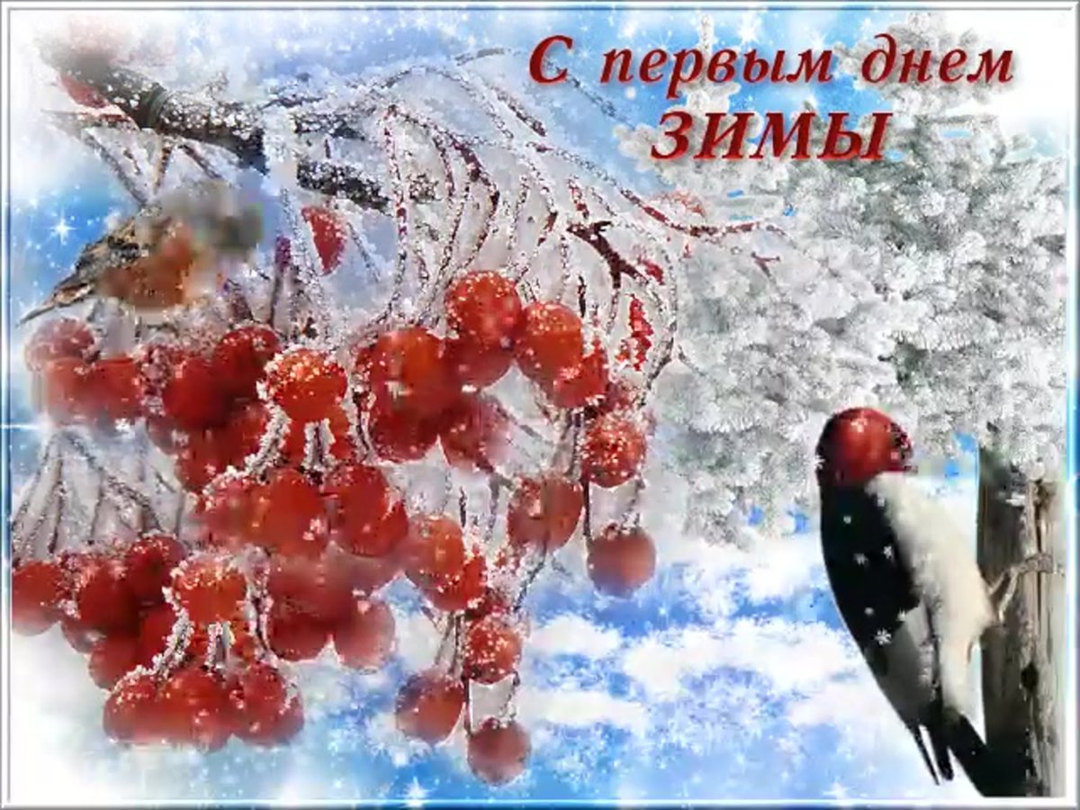 С 1 днем зимы