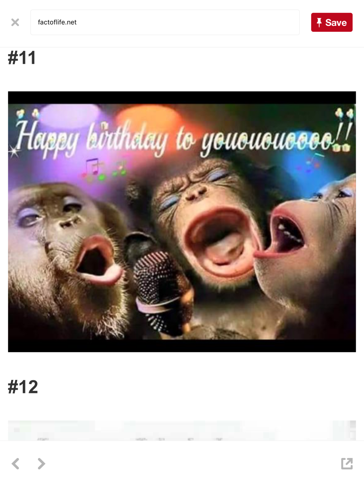 Три обезьяны поют