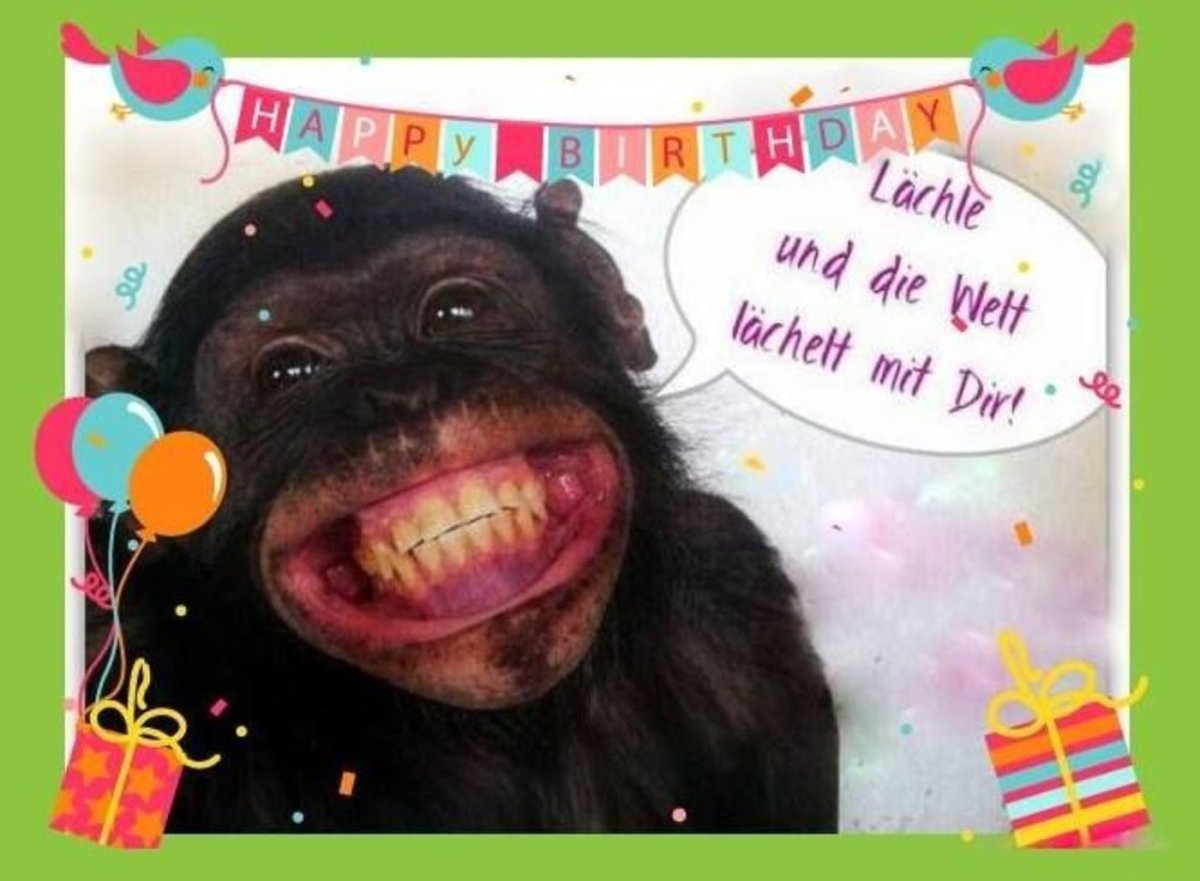 С днём рождения обезьяны поют