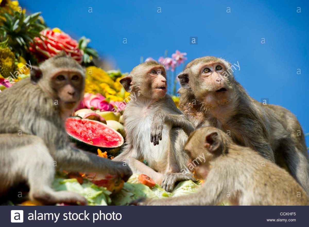 Happy Birthday надпись вектор