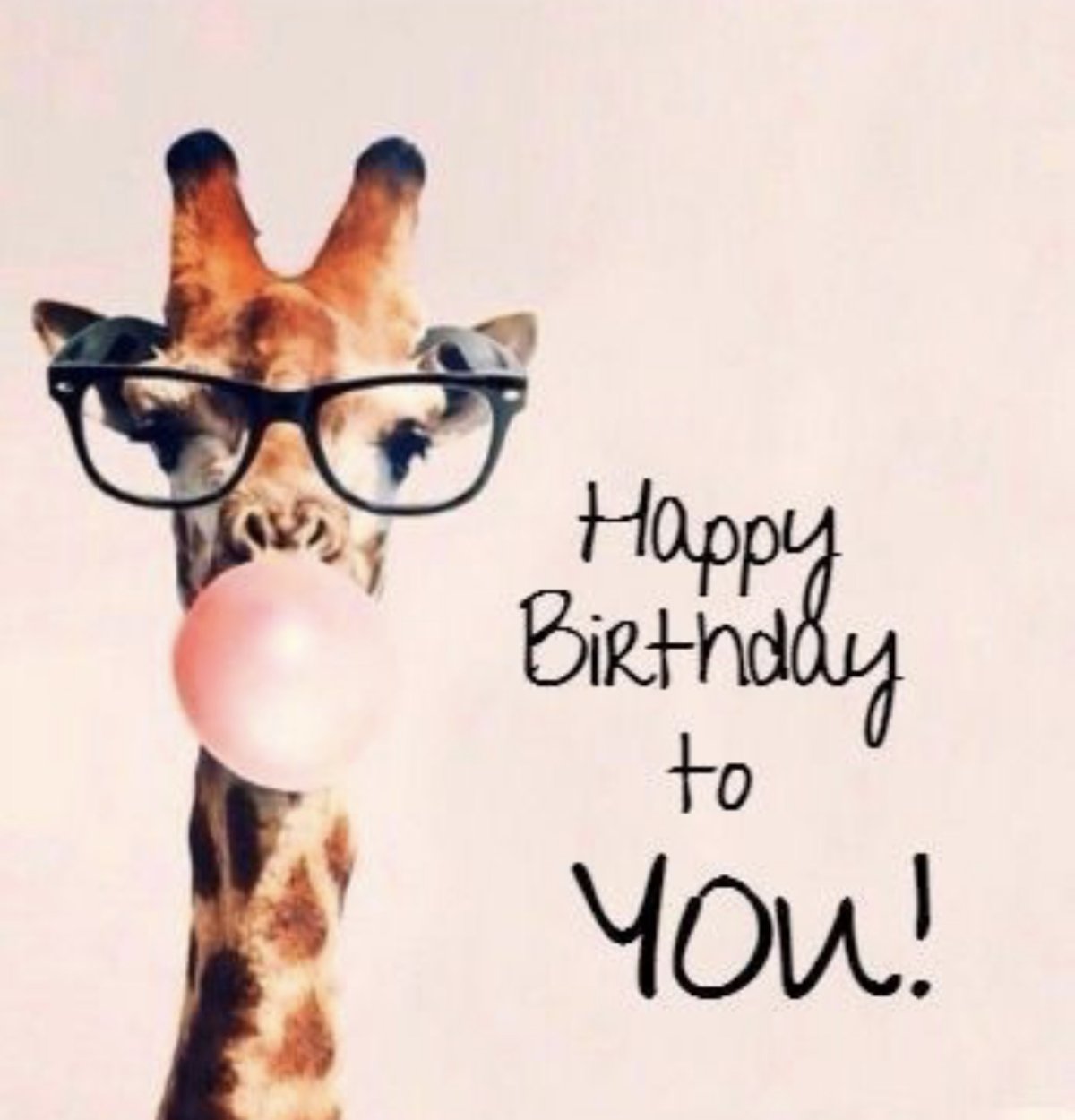 Пушин Кэт день рождения