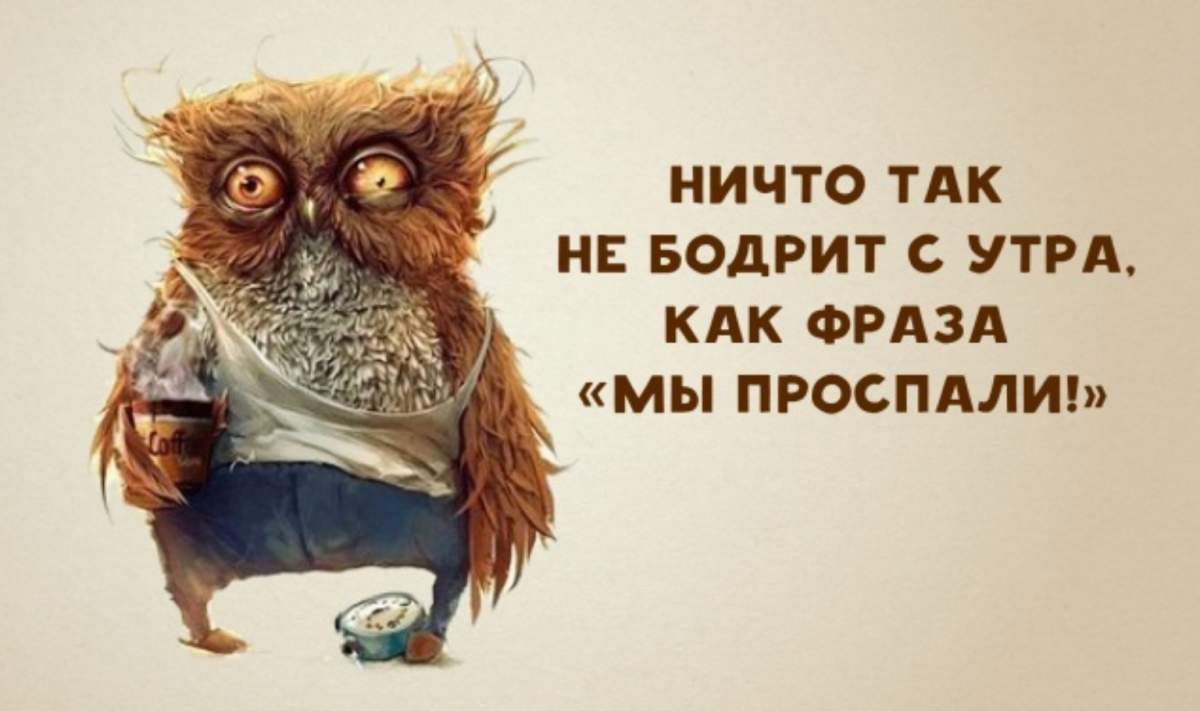 Шутки про работу