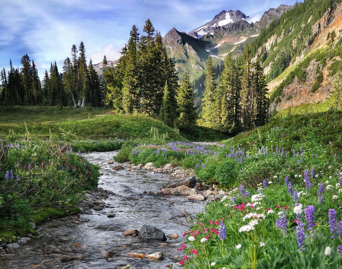 Природа России