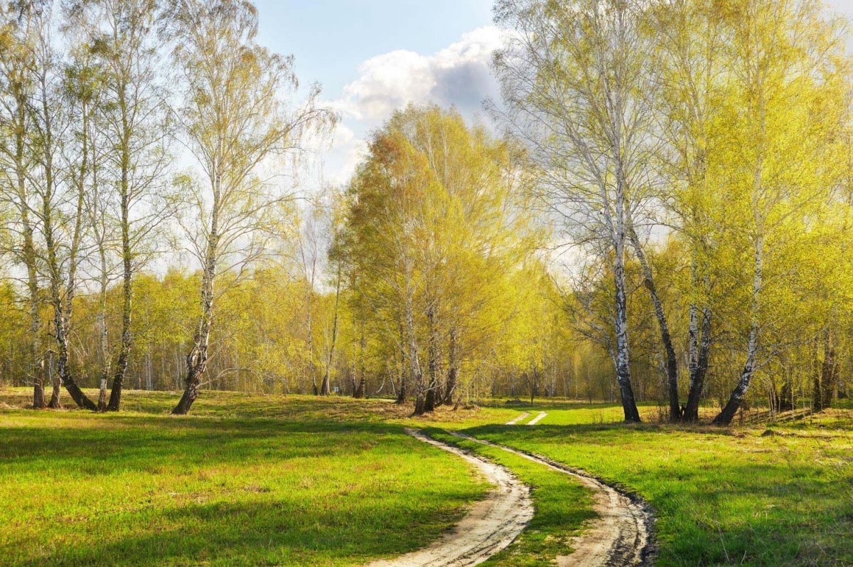 Озеро с цветами