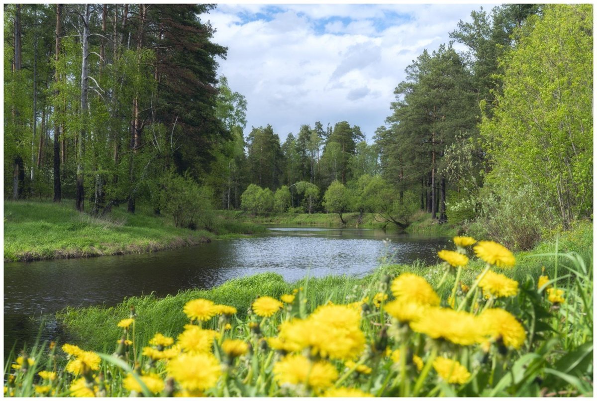 Индийский парк «Долина цветов»
