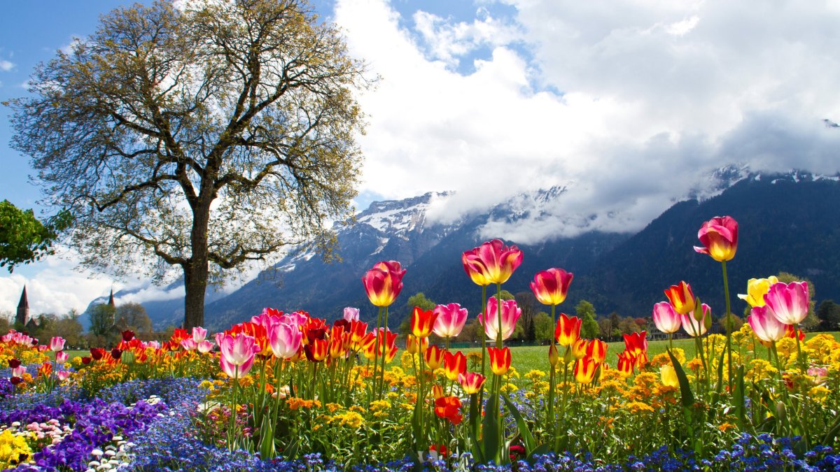 Ручей Горная речка Урал